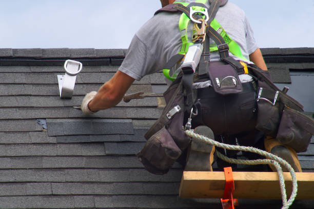 Best Roof Waterproofing Services  in Trenton, IL