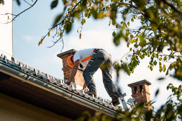 Roof Installation Near Me in Trenton, IL