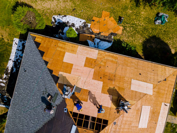 Best Flat Roof Repair Services  in Trenton, IL