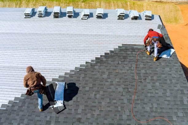 Best Flat Roof Repair Services  in Trenton, IL