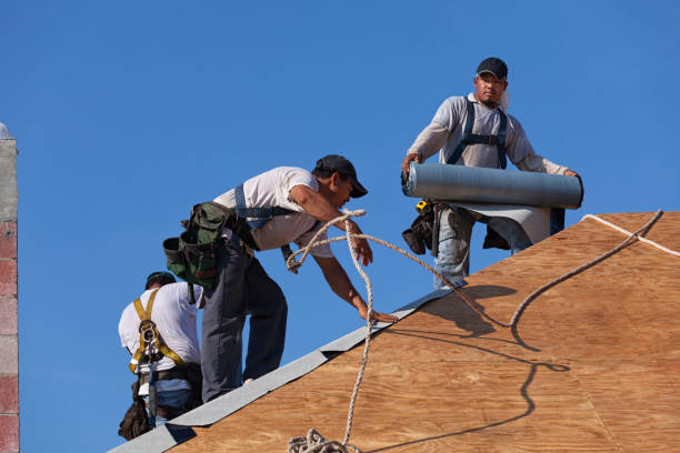 Best Roof Restoration Services  in Trenton, IL