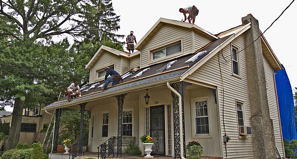 Professional Roofing Contractor in Trenton, IL